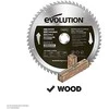 255-mm-Zahnsäge Evolution EVO-FW255TCT-60