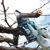 Makita Genėjimo pjūklas UC100DWA, 12V, 1x2.0Ah, 100mm, bešepetėlinis, automatinis tepimas