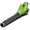 Greenworks Akumuliatorinis pūstuvas GR2400807 (be akumuliatoriaus ir kroviklio)