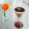 Hario V60 glass brewing kit