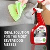 Valiklis šunų dėmėms ir kvapams šalinti Natures Miracle Ultimate Stain & Odour Eliminator Dog 946 ml