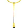 Nils Extreme Badmintono rinkinys Nils NRZ262, aliuminis, 2 raketės, 3 badmintono plunksniukai, tinklas 600 x 60 cm, dėklas