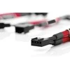 Noctua 4 kontaktų - 4 kontaktų x2, 0,11 m, Raudona (NA- SYC1.red)