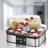 Vaisių džiovyklė ProfiCook