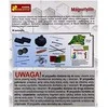 Ranok Namuose Minilab - Magnetizmas