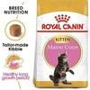 Royal Canin Maine Coon Kitten 4kg