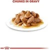 SHN Dog Mini Adult Gravy 12x85 g