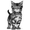 ROYAL CANIN Gastrointestinal Kitten - sausas maistas dla kociąt -2kg