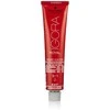Schwarzkopf Igora Royal ilgalaikio poveikio plaukų dažai 60 ml - 9-1