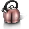Plieninis virdulys 3,0 l BERLINGER HAUS I-ROSE BH-1077