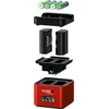 Hähnel ProCube 3 dvigubas įkroviklis Canon