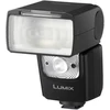 Panasonic DMW-FL580LE