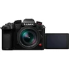 Panasonic Lumix GH7 + 12-60mm F/2.8-4.0 Leica DG Vario Elmarit ASPH POWER OIS