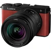 Panasonic Lumix DC-S9K + LUMIX S 20-60mm / F3.5-5.6 (Crimson Raudona)