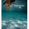 Deeper Quest Downscan Undervision modulis