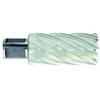 Tivoly Metalo gręžimo freza Ø15X80X50 мм HSS, tvirtinimas Ø19 мм, Weldon