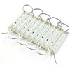 Oem 3x LED SMD5050 12V IP65 šaltai balta