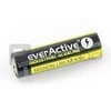 AA baterija (R6 LR6) šarminė EverActive - 2vnt