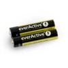 AAA everActive pramoninė šarminė baterija 1.5V - 2 vnt