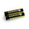 AAA everActive pramoninė šarminė baterija 1.5V - 2 vnt