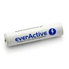 Akumuliatorius EverActive Professional Line R3 AAA Ni-MH 1000mAh 4vnt