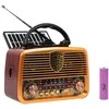 AM/FM BT BLOW RA10 nešiojamasis saulės analoginis radijas