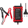 58-687# Prostownik automatinis 12v/10a lifepo4 blow