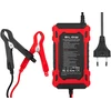 58-688# Prostownik automatinis 12v/6a lifepo4 blow