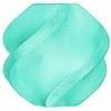 BambuLab Bambu Lab Refill PETG Translucent plastikas 1.75mm 1kg - Translucent Teal