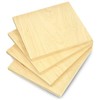 Static Control Oem Beržo fanera - 8mm - formatas 110x120 mm - 4 vnt