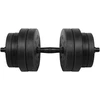 Bituminiai reguliuojamo svorio hanteliai 1x20kg REBEL ACTIVE