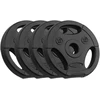 Bituminių svarelių rinkinys 4x1.25kg, skylė 31mm, plokštė su rankenomis, REBEL ACTIVE