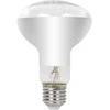 Blow E27 A60 LED 9W R80 lemputė augalų auginimui