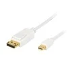 Blow Kabelis mini DisplayPort - DisplayPort 2m