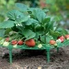 Grąžtas Oem Braškių stovas 30 cm - Sodo atrama - atrama vynmedžiams