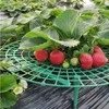 Grąžtas Oem Braškių stovas 30 cm - Sodo atrama - atrama vynmedžiams