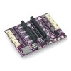 Cytron Maker Pi Pico pagrindas: Pi Pico supaprastinimas pradedantiesiems