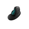 Belaidė ergonominė pelė Delux M618XSD BT+2.4G RGB