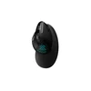 Belaidė ergonominė pelė Delux M618XSD BT+2.4G RGB
