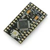 Dfrobot DFRduino Pro Mini v1.3