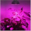 Galingas LED 1W - 30-40lm - Pilnas spektras - 400-840nm - Augalams ir gėlėms auginti