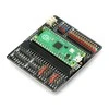 Gravity - Raspberry Pi Pico išplėtimo plokštė - DFRobot DFR0848