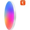 Lubinis šviestuvas Išmani lubinė lempa 32cm WiFi/Bluetooth 16M RGBCW Gosund LB11 1920lm Tuya + nuotolinio valdymo pultas.