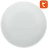 Lubinis šviestuvas Išmani lubinė lempa 32cm WiFi/Bluetooth 16M RGBCW Gosund LB11 1920lm Tuya + nuotolinio valdymo pultas.