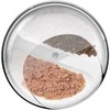 Išmanusis maisto dozatorius CatLink F03 Standard