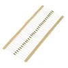 JustPi THT CF anglies rezistorius 1/4W 1MΩ - 30 vnt