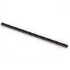 Oem Karpomas lizdas 1x40 2.54mm tiesus - 2.9mm aukštis