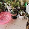 Oem Keramikinis laistytuvas - baltas - Automatinis lašintuvas augalams laistyti