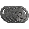 Ketaus svarelių rinkinys 4x1.25kg, skylė 31mm, plokštė su rankenomis, REBEL ACTIVE