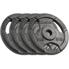 Ketaus svarelių rinkinys 4x5kg, skylė 31mm, plokštė su rankenomis, REBEL ACTIVE